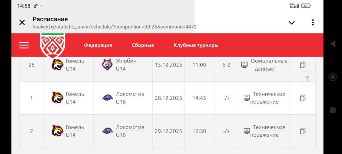 техническое поражение гомеля