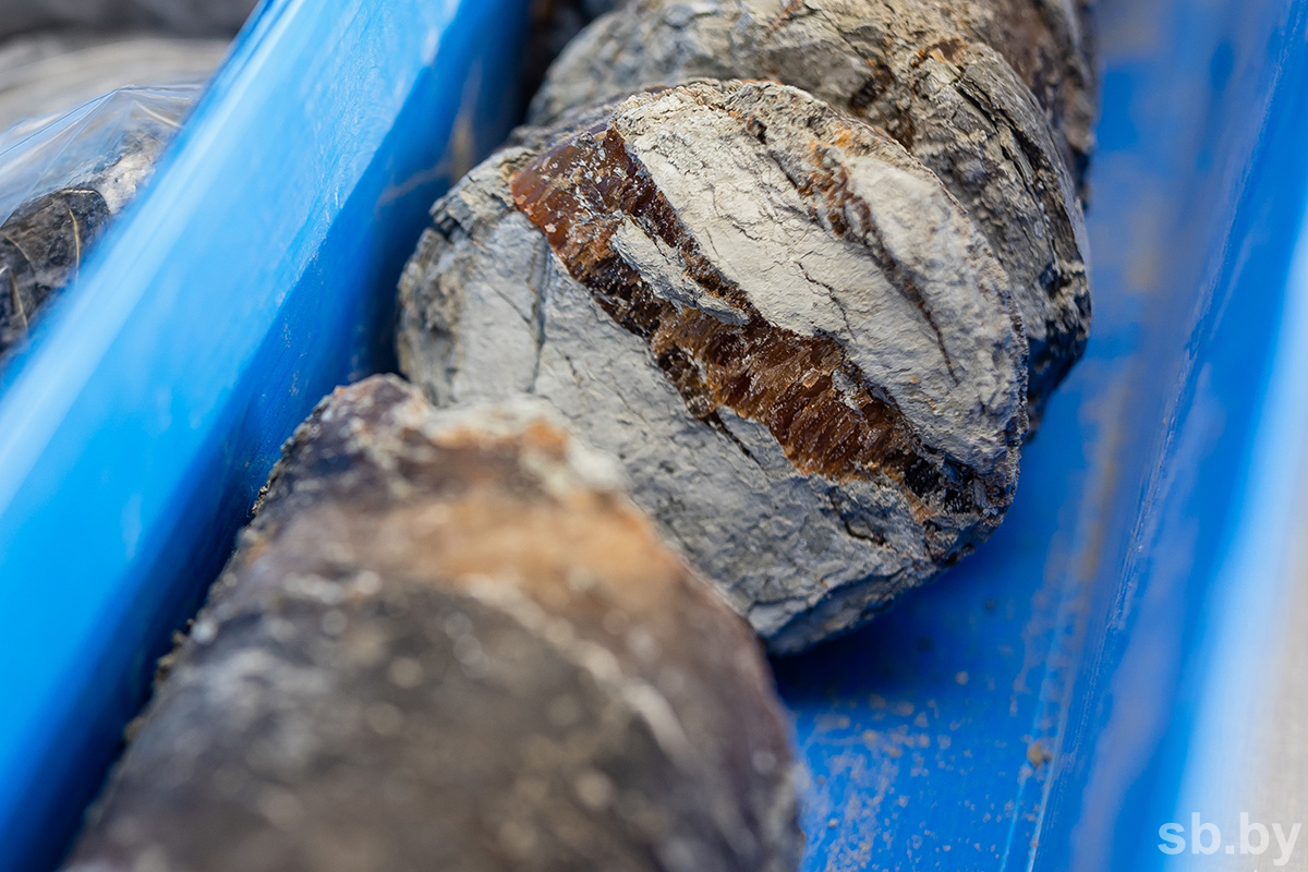 Сколько нефти добудут в Беларуси к 2030 году?