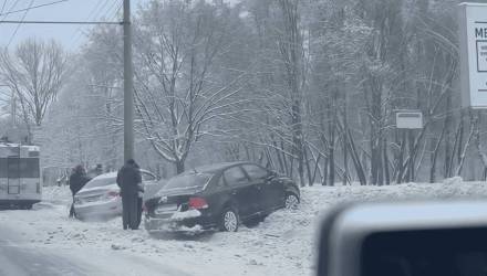 Снег, сугробы и номера: автоказусы зимнего Гомеля
