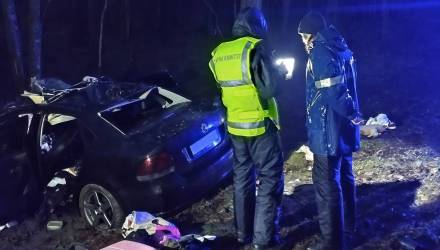 В Гомельской области на треть выросло число ДТП с дикими животными: погибли пять человек