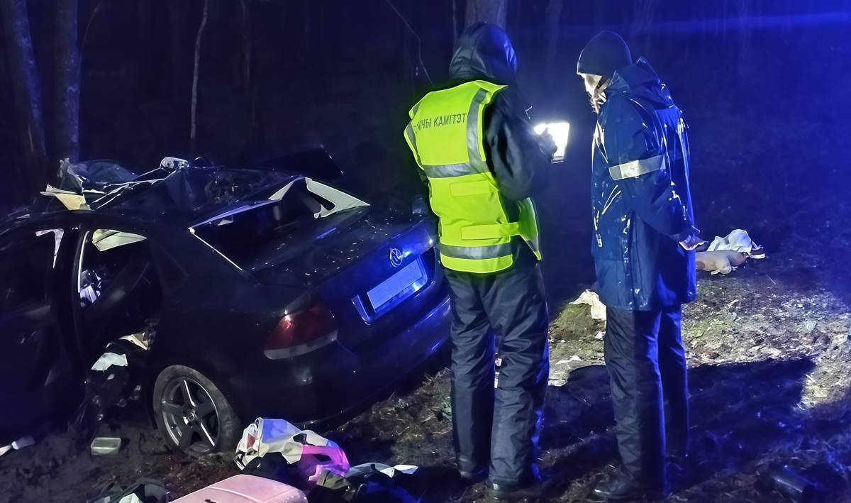 В Гомельской области на треть выросло число ДТП с дикими животными: погибли пять человек