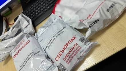 Закладки в Рогачёве и Бобруйске: Следственный комитет раскрыл схему