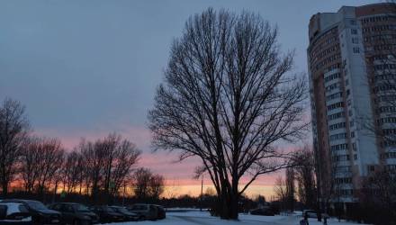 Первая декада января в Гомеле может стать самой снежной