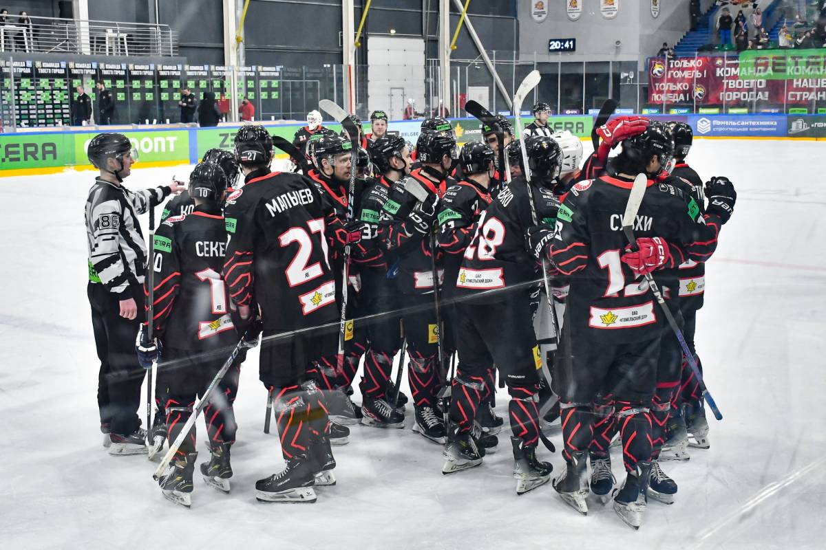 ХК «Гомель» вернулся в зону плей-ин