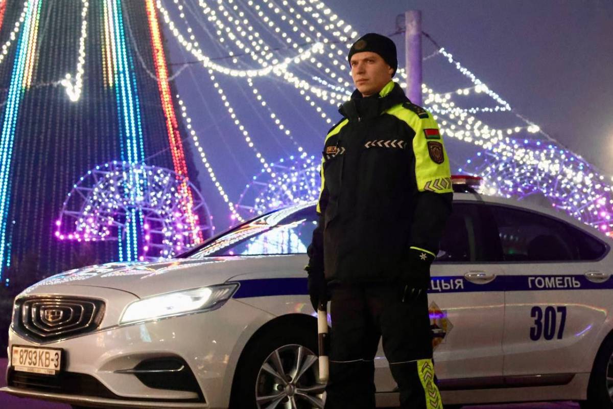 В новогоднюю ночь в Гомельской области обеспечен общественный порядок: более 30 тысяч участников, усиленные меры безопасности и без происшествий.