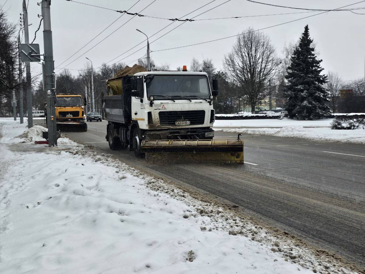 в Гомеле устраняют последствия снегопада