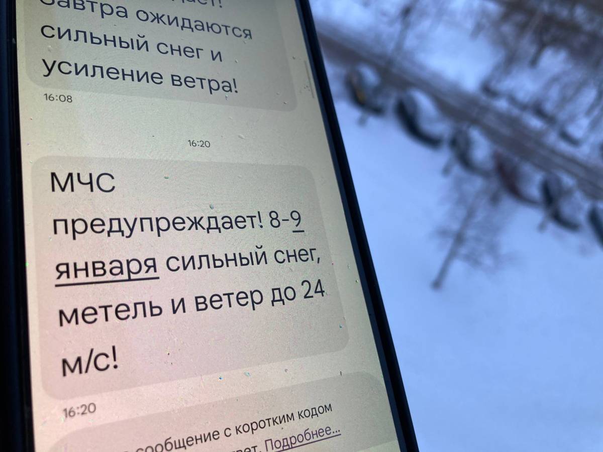 Снег и метели в Гомеле 8–9 января: объявлен оранжевый уровень