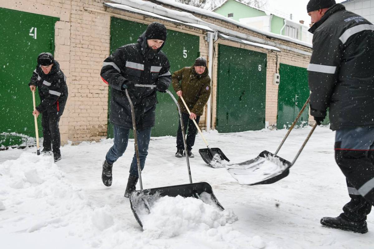 Гомель вышел на уборку снега: город объединился