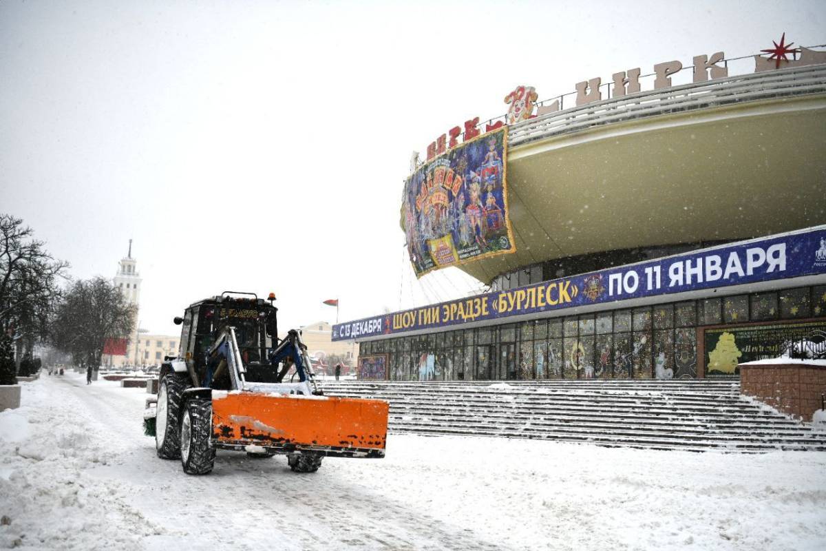Гомель — единым фронтом против снегопада