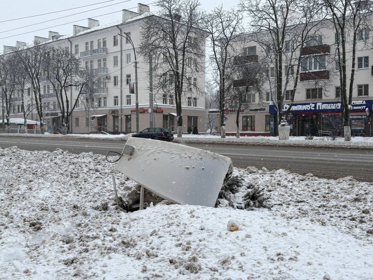 Гомель переживает последствия мощного циклона «Улли»