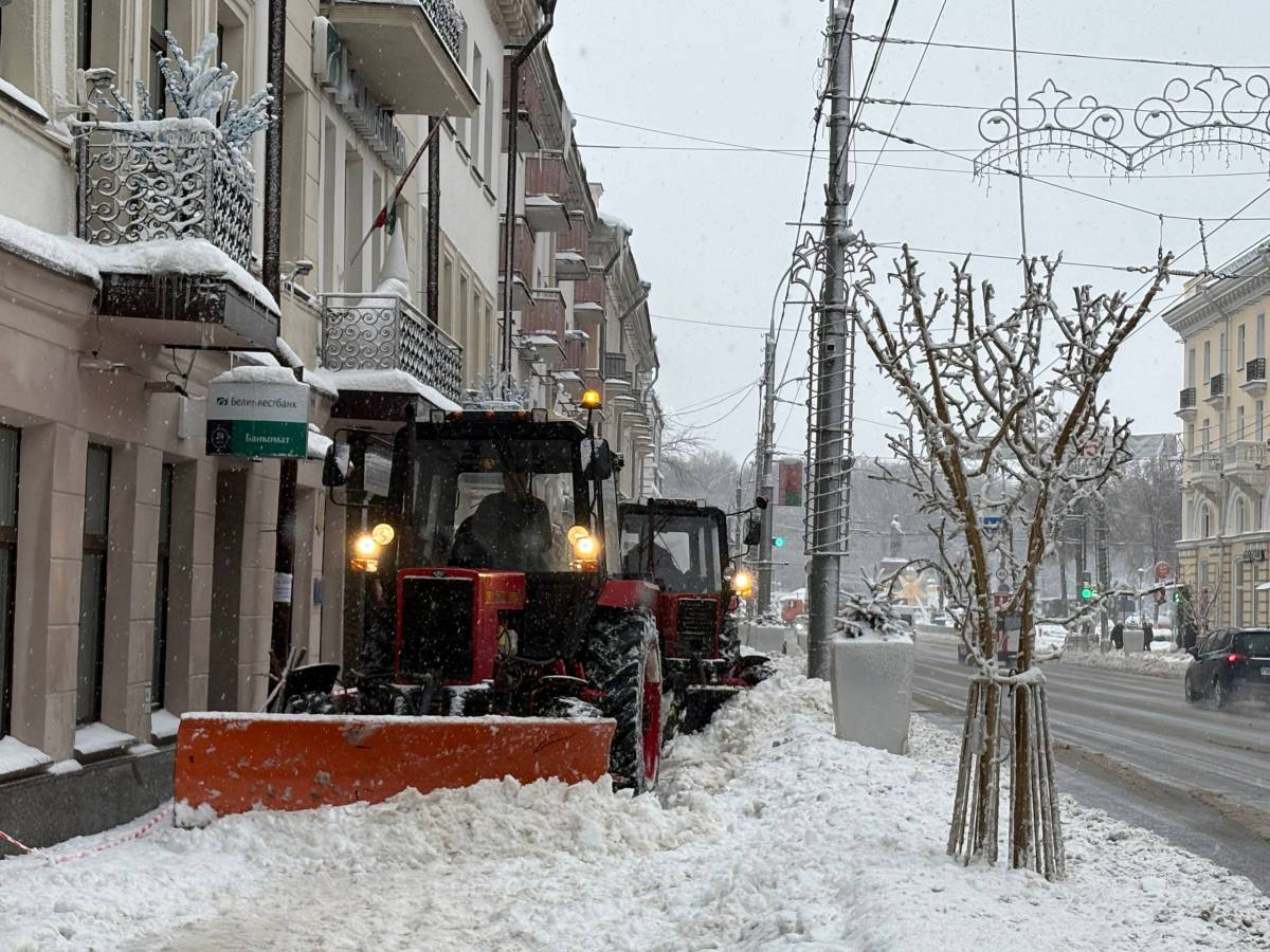 Городские службы в Гомеле работают в усиленном режиме
