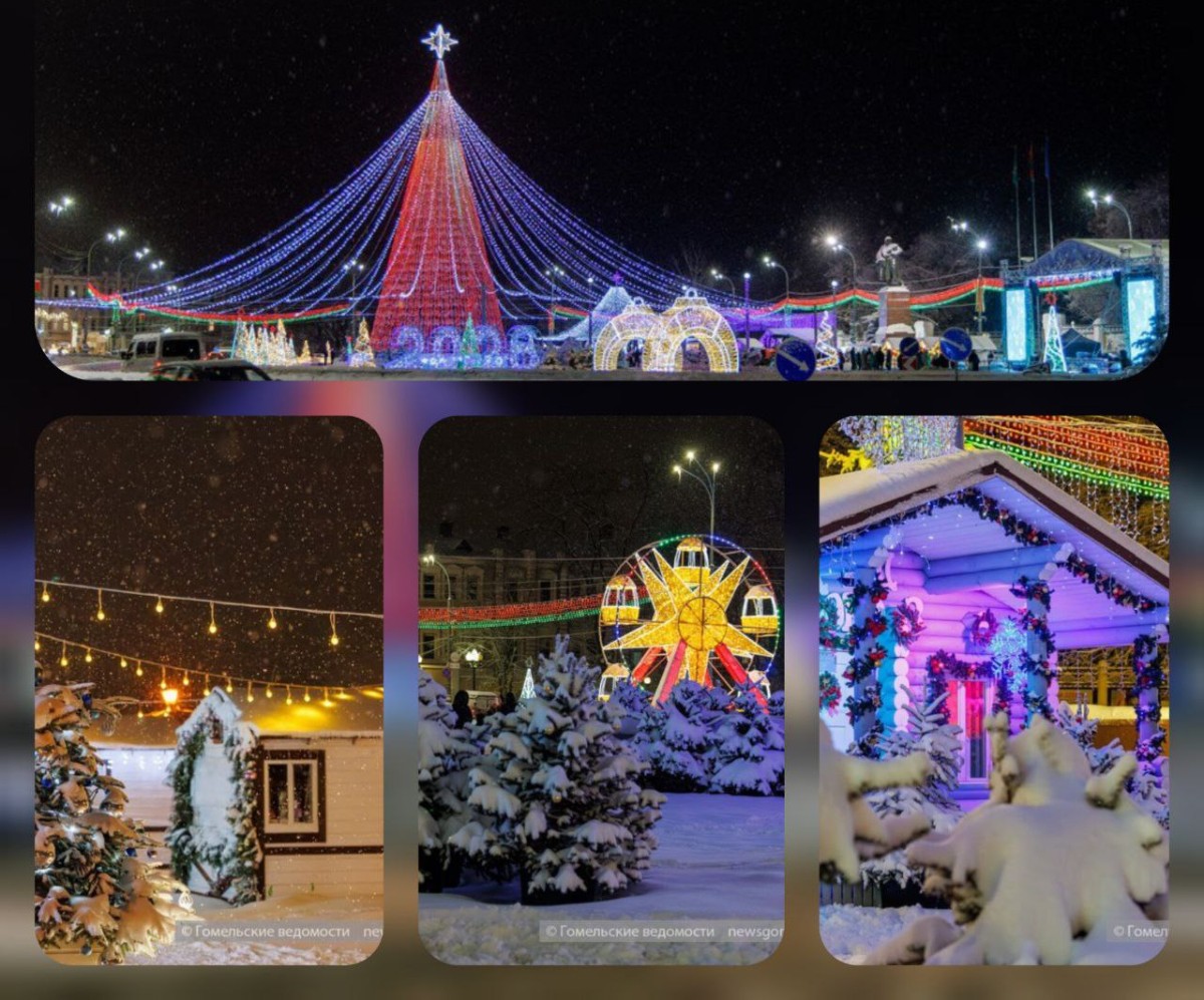 В Гомеле отменили концерт на набережной Сожа