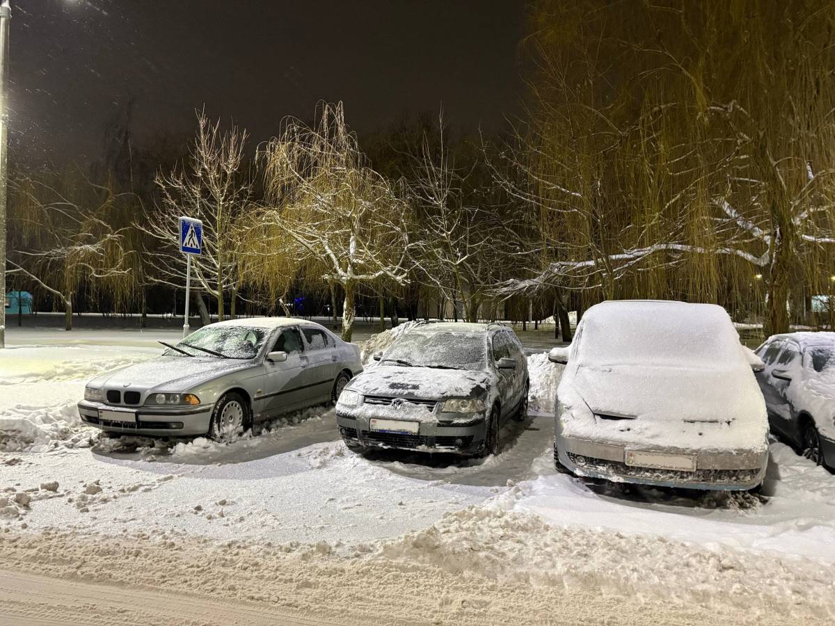 приходится чистить снег не только для себя, но и фактически для всех