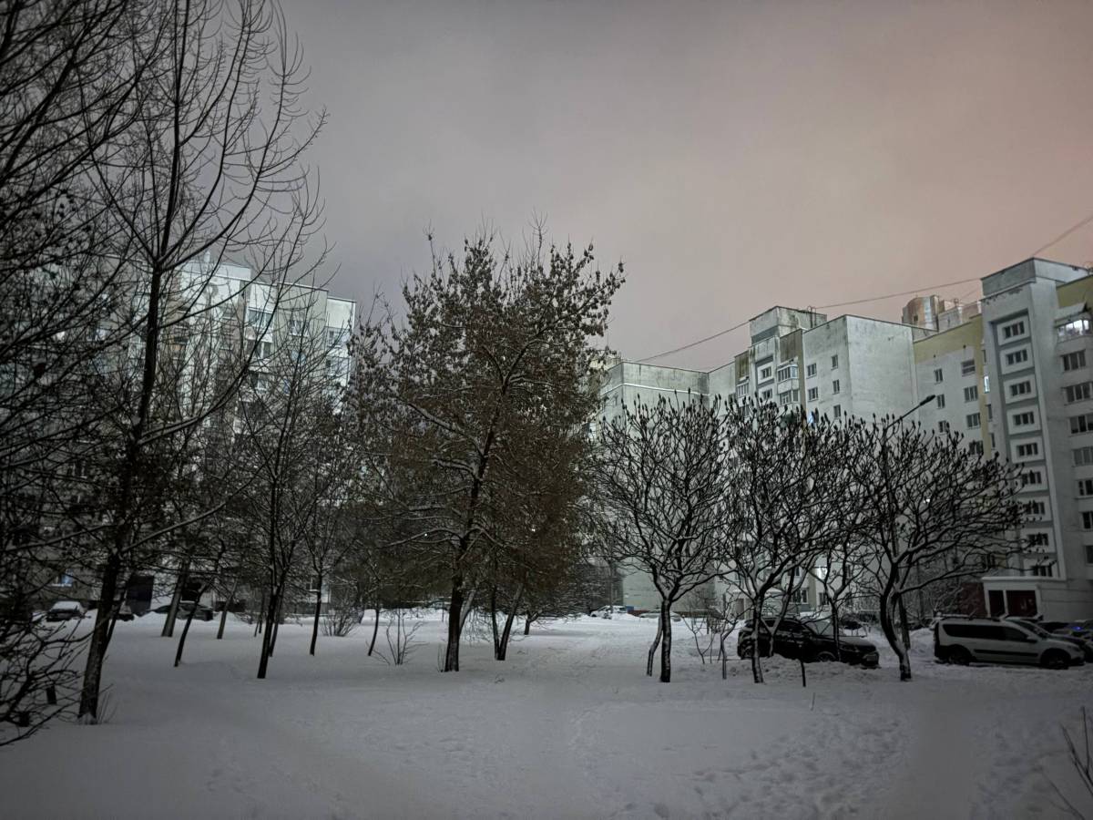 Часть Гомеля осталась без света из-за сбоя на линии