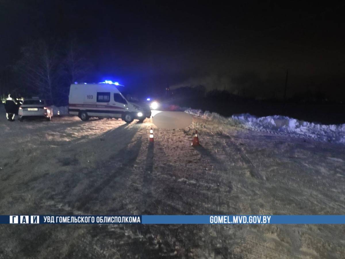 Смертельный наезд в Гомельском районе: водитель скрылся