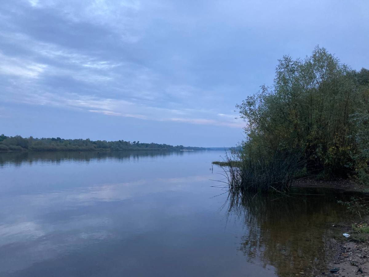 Житель Мозырского района обнаружил подозрительный предмет на берегу Припяти