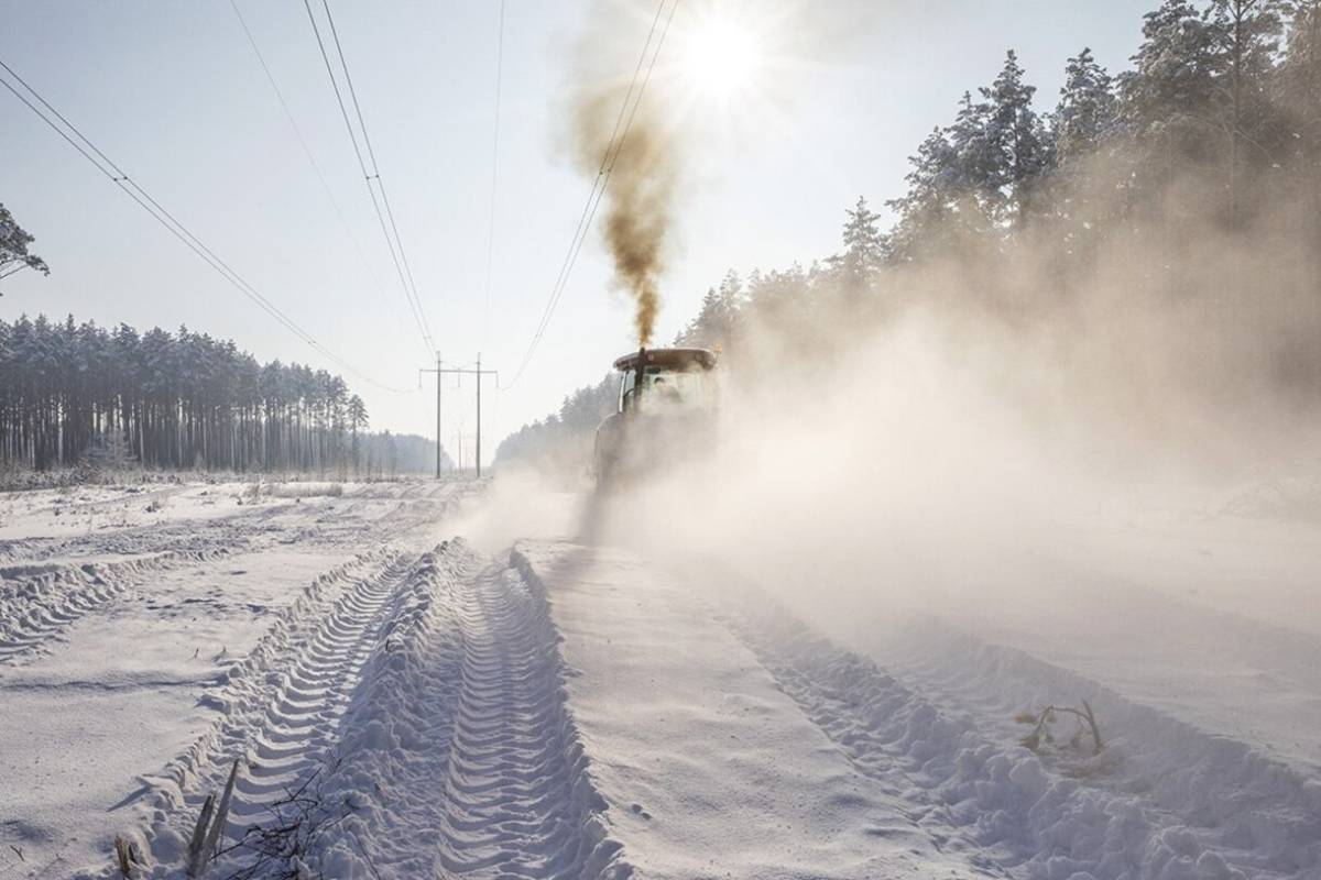 Зимнее «окно»: в Гомельской области расчищают труднодоступные просеки ЛЭП