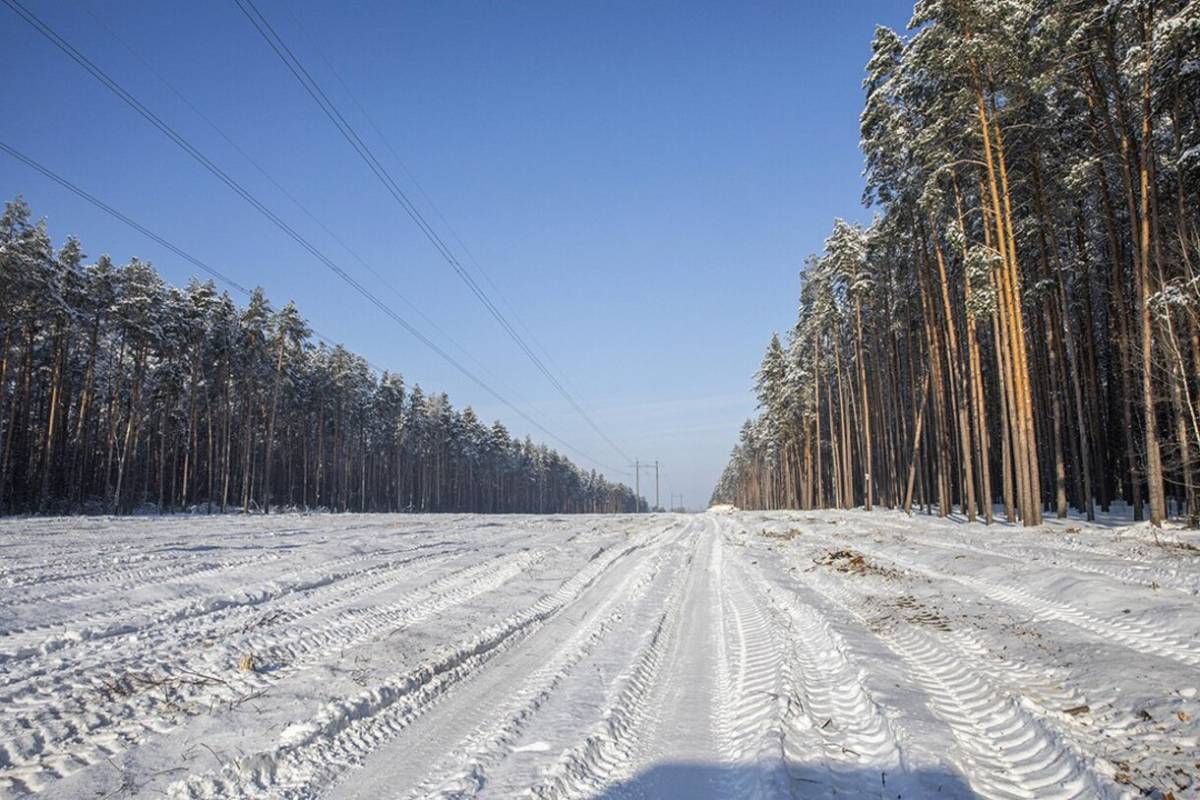Планы на 2026 год гомельэнерго