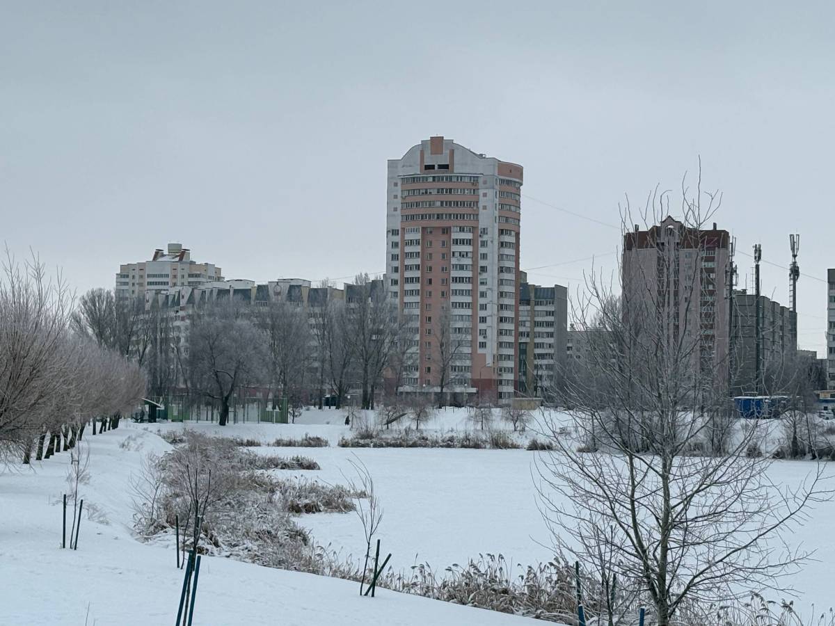 Куда исчез Волотовозаврик с наступлением холодов