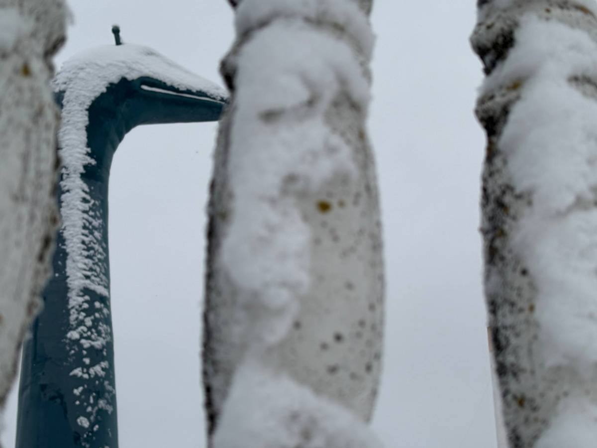 Зимовка рядом: менее 400 метров от озера