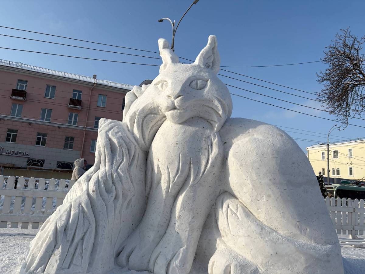 Как обычная площадь превратилась в зимнюю экспозицию