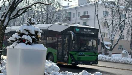 Когда троллейбус №20 поедет в Новую Жизнь и что изменится в транспорте Гомеля