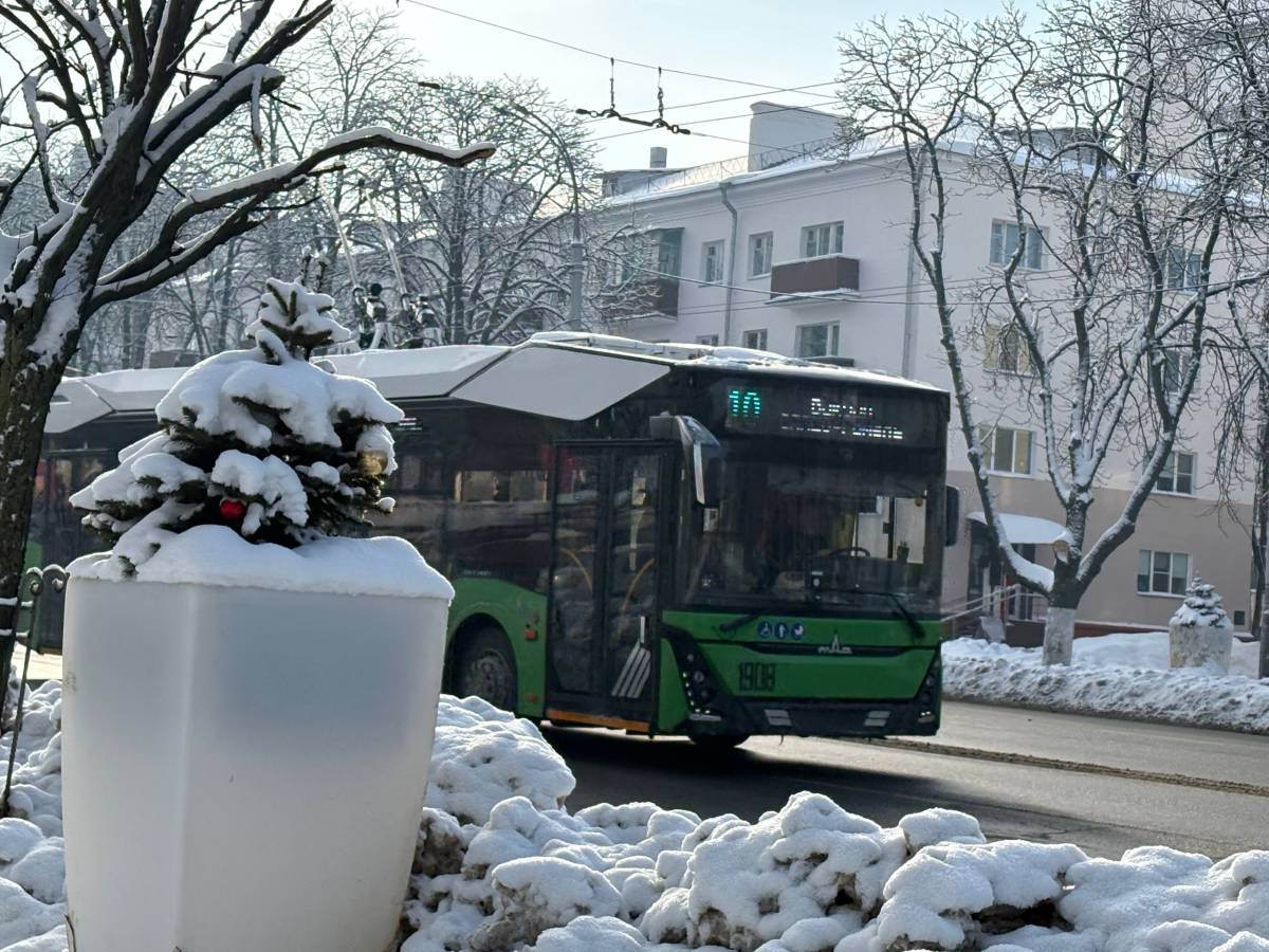 Когда троллейбус №20 поедет в Новую Жизнь и что изменится в транспорте Гомеля