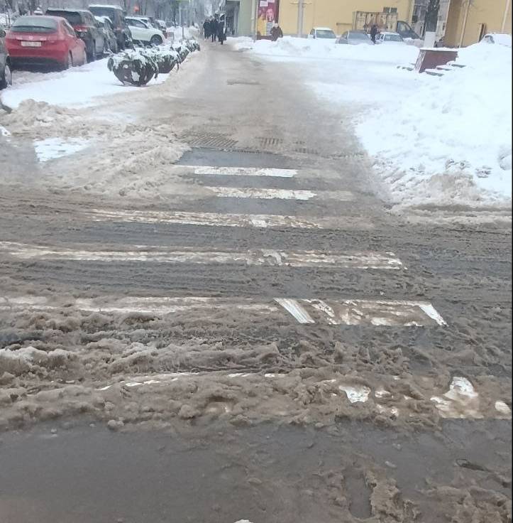 опасные зебры в гомеле