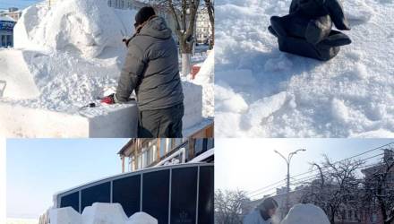 Гомель, погода в Гомеле, Гомель новости, снежная рысь в Гомеле
