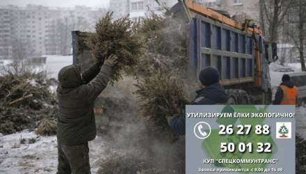 Куда выбросить ёлку в Гомеле после праздников