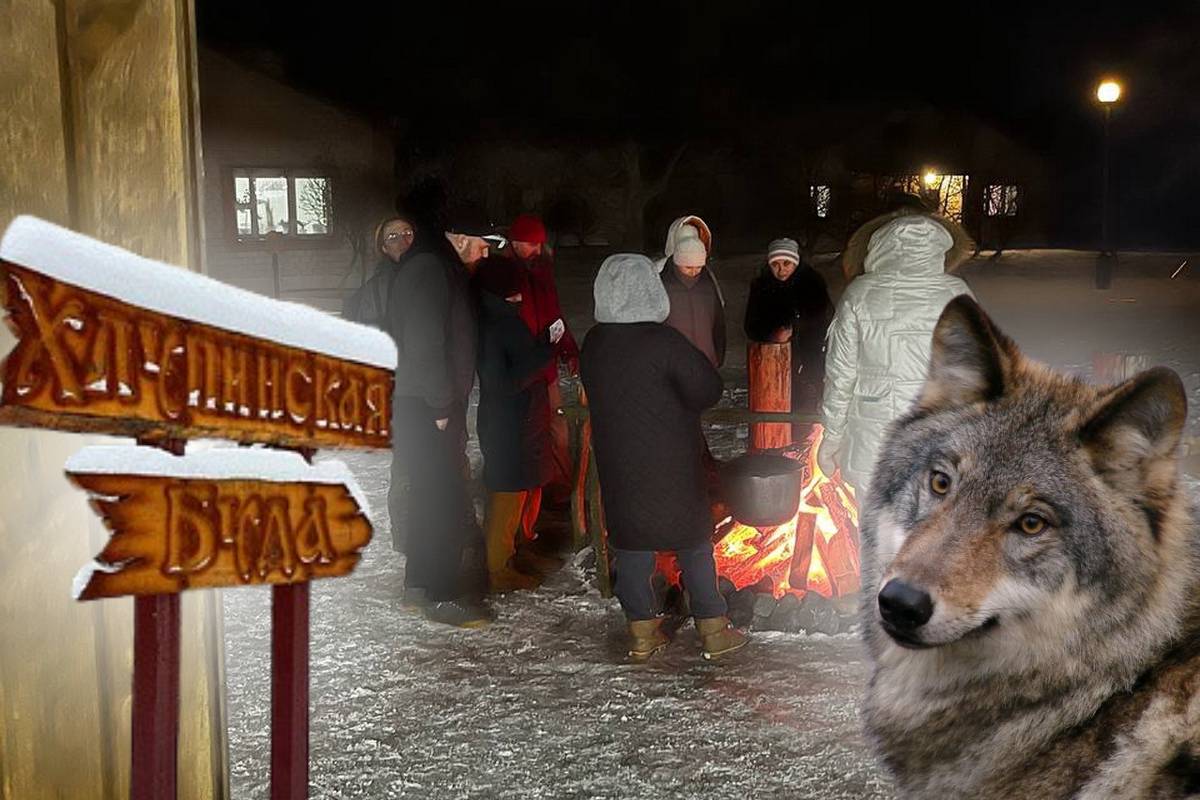 Фестиваль «Ночь Волков» пройдет в Гомельской области 17–18 января