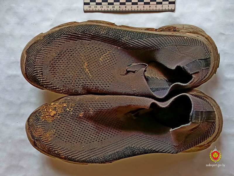 результаты одорологической экспертизы, показали совпадение запаха с образцами подозреваемого