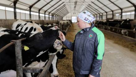 Производственное объединение расширяет команды сельхозфилиалов. Вакансии касаются специалистов животноводческой сферы.