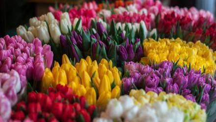 Новости Беларуси, Новости Гомеля