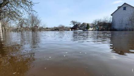 В зоне риска - Гомельский и Добрушский районы