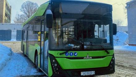 В Гомеле, Мозыре и Светлогорске обновляют городской транспорт: поступили новые МАЗы