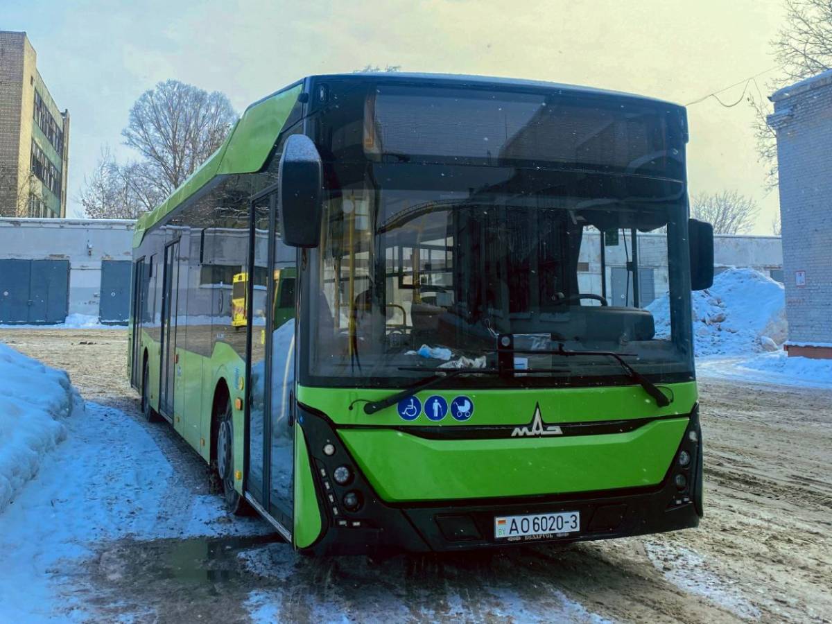 В Гомеле, Мозыре и Светлогорске обновляют городской транспорт: поступили новые МАЗы