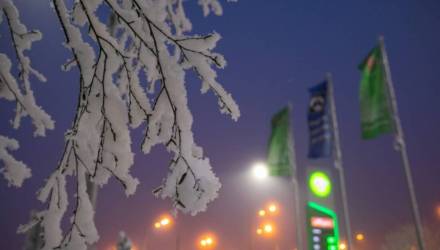 «Белоруснефть» установила кассы самообслуживания на 150 АЗС, чтобы сократить очереди