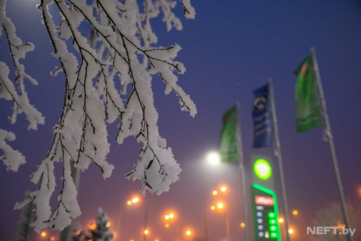 «Белоруснефть» установила кассы самообслуживания на 150 АЗС, чтобы сократить очереди