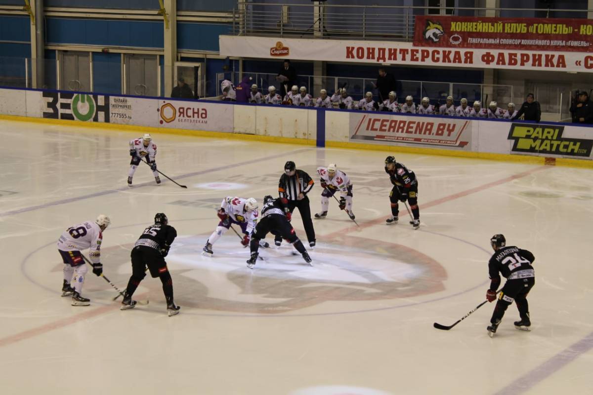 Изменения в штабах «Гомеля» и «Рысей»: логичный шаг или рискованная рокировка?