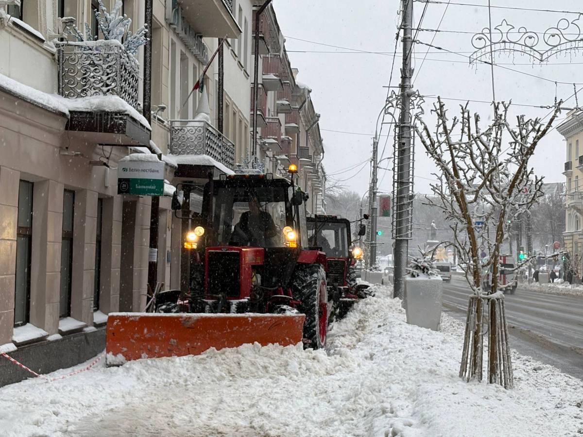 Проверка в Гомеле выявила более 200 нарушений при уборке снега