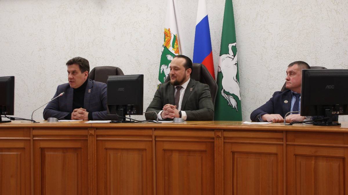 Гомель вышел на прямую связь с Томском — о чем говорили депутаты