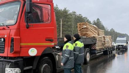Под Мозырем выявили перевозку пиломатериалов без спецразрешения