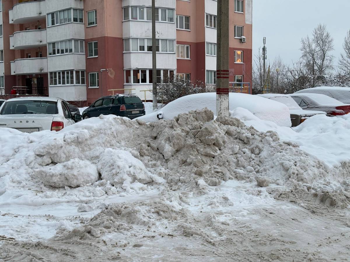 Почти на каждой второй территории Гомеля нашли нарушения санитарных норм