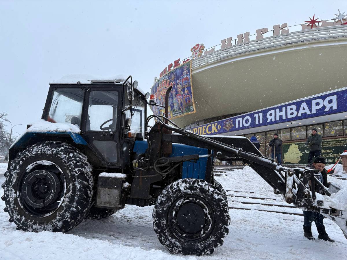 Сколько снега вывезли из Гомеля и куда?