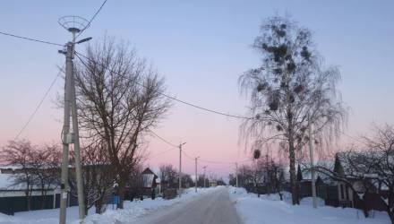 Безопасный дом для аиста: на Гомельщине установят порядка 100 платформ