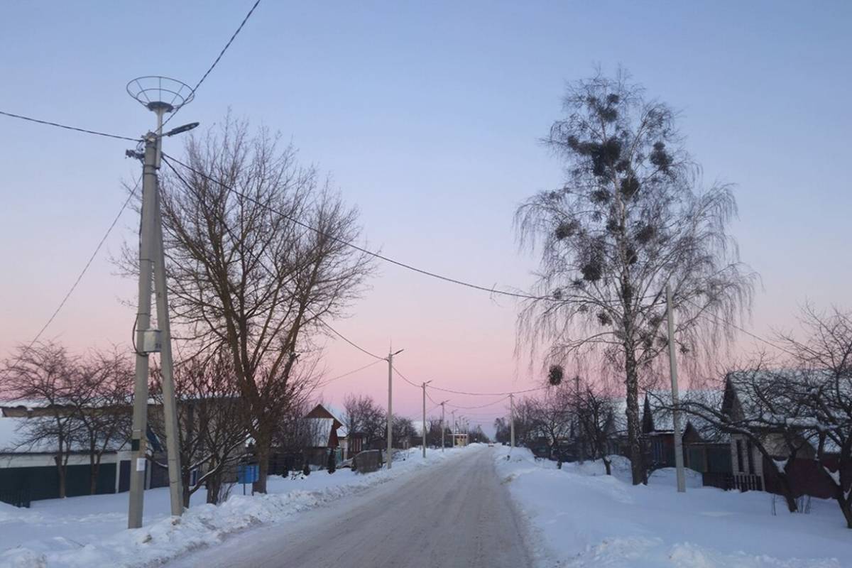 Безопасный дом для аиста: на Гомельщине установят порядка 100 платформ