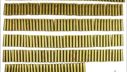 Новости Гомеля