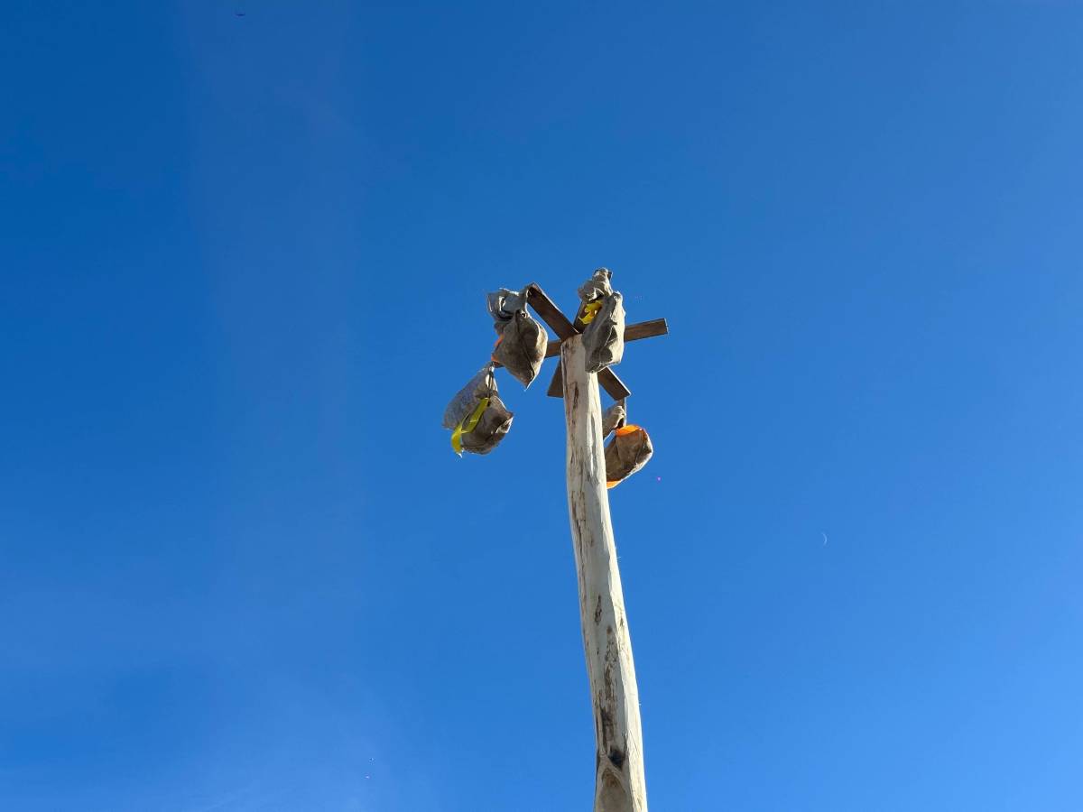 Праздничная программа на набережной Сожа продолжалась несколько часов