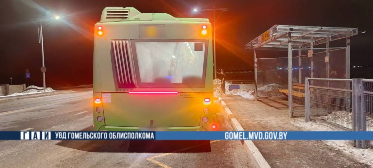 под управлением 44-летнего водителя произошло падение 88-летней женщины